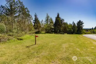 Dream Lot in Dreamy Woodland Hills - a Port Townsend community of custom homes all of which are on acreage.  Paved Streets.  Quail Ridge Court is a Cul de Sac.