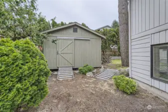 Generously sized shed with ramp is located in the southeast corner of the backyard. There is plenty of room for all your gardening tools and toys.