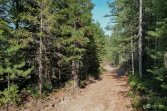 Driveway back towards Lot 2 & Lot 3 Entry