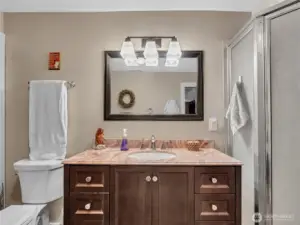Primary Bathroom Downstairs