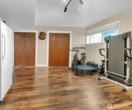 Downstairs 2nd room w/ laundry