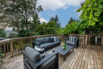 A quiet oasis in your vibrant city neighborhood.  Deck has easy access to the lower patio and large - tiered back yard.
