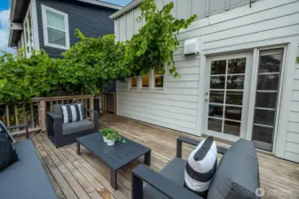 Mature grapevines create a lush, garden-like retreat that envelopes you in natural beauty.