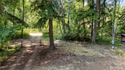Mature evergreens throughout the property create a beautiful setting. View facing Country Lane from secondary access gate.