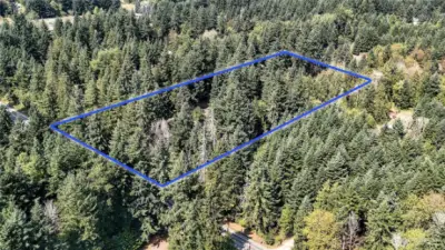 Blue boundary lines are approximate. Buyer to verify to own satisfaction.