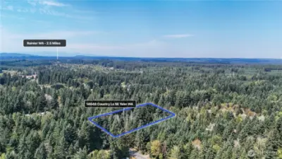Nestled in nature while close to Rainier and Yelm. Blue boundary lines are approximate. Buyer to verify to own satisfaction.