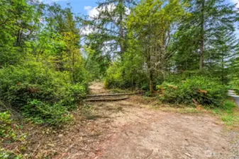 Property partially cleared for easy access and walkability