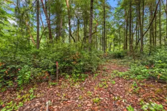 Proposed well site marked