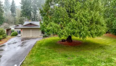 Watch the wildlife go by while soaking up the soothing sounds of nature.