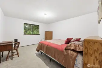 Bedroom #3-- Also generous in size, offers the same green views and wonderful new carpet, as well as fresh paint!