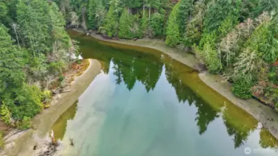 Green Cove is a gorgeous, aptly named, peaceful stretch at the base of Eld Inlet.