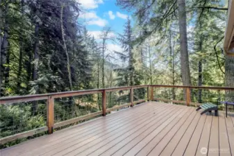 Upper deck with composite decking overlooking wooded setting
