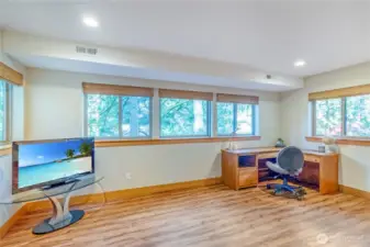 Rec room with large windows and custom window treatments