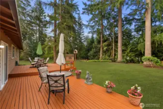 This is just a portion of your nearly one acre property.