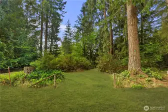 Head through the opening in the fence two enjoy the private trails of lot #2.