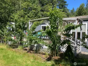 Exterior view, fruit trees
