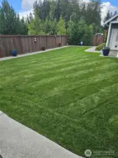 This picture shows how great your lawn can look this summer.