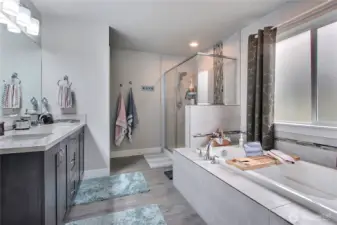 The shower is spacious, while the soaking tub commands attention, creating a stunning focal point in the master suite and elevating the space into a true retreat for relaxation and luxury.