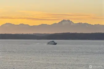 The snow-capped Olympic Mountains often appear close enough to touch, while an endless parade of ferries and cruise ships passes right outside your front door—offering ever-changing views that are truly captivating.