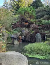 Walk to nearby tranquil Kubota Gardens.