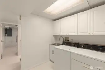 Downstairs utility room w/ utility sink and storage