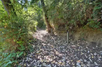 Beach trail