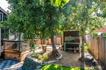 Primary Yard