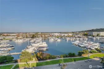 The boardwalk below is connected to many shops, eateries and small businesses. Thea Foss Waterway is a treasure trove of boat activity throughout the year.