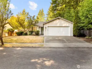 2 car garage, drive way and street parking!