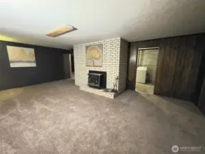 Basement Living Room