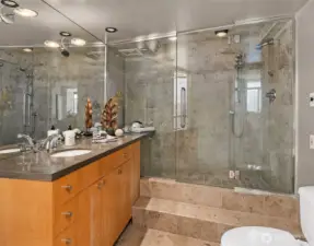 Spectacular shower in primary bath