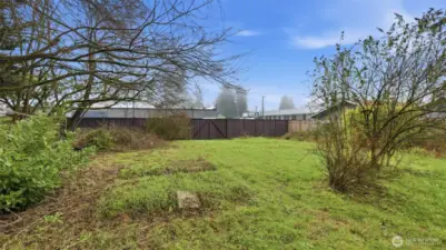 Expansive back yard