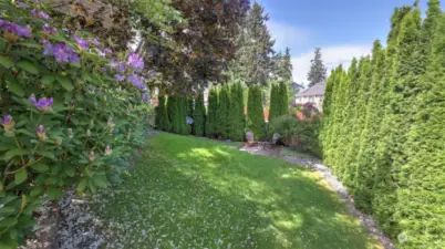 Enjoy the tree lined property for added privacy & shady grass areas from the mature trees.