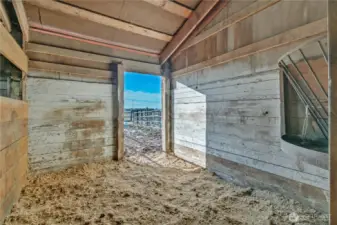 Every stall features a private, attached run.