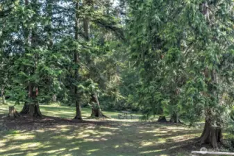 Deception Pass State Park