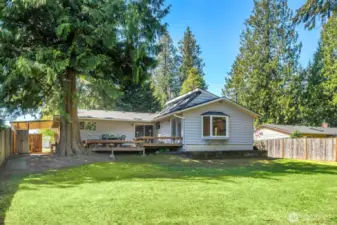 Expansive fully fenced backyard with deck access, mature trees, and peaceful privacy all around.