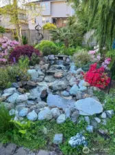 Backyard water feature for ideal relaxation!