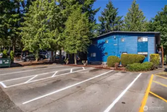Large parking area with designated spaces.