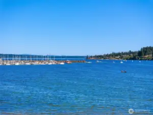 Sensational views, the easiest of water access, and car ferry to Edmonds PLUS Fast ferry direct to downtown Seattle!