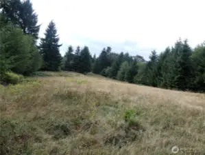 Upper field