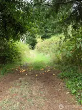 Multiple paths/hiking/atv trails throughout property