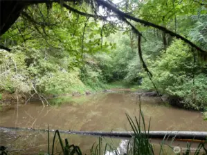Year around pond