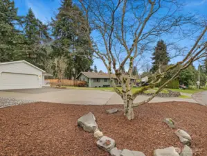 Fresh low maintenance landscaping