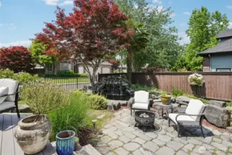 hardscape back yard includes fruit trees, plantings and water feature plus natural gas fire pit.