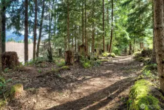 Community Trail along the White River for hiking, biking (non-motorized) and horse-back riding.