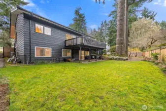 Large backyard with grassy area