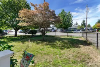 Fully fenced Western exposure with shade tree