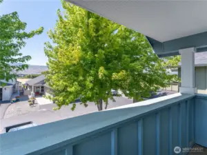 Panoramic View from Primary Balcony