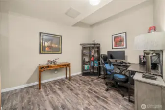 Lower level office / bonus room