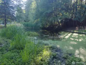 Paddle canal to the lake approx 50 yards